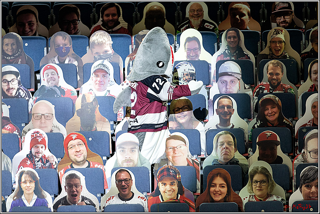 PENNY DEL;  Koelner Haie - Fischtown Pinguins Bremerhaven; Koeln, 12.02.2021